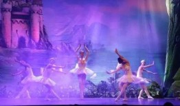 独舞天鹅爆料视频大全集,揭秘爆料视频背后的精彩故事