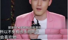 娱乐大爆料张睿是谁啊视频,揭秘张睿的星光之路