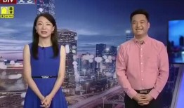 陈力铭爆料新闻视频大全,新闻视频大全深度解析