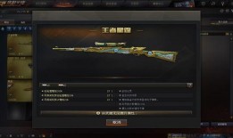 王者星霆最新爆料,神秘英雄即将登场，战局风云再起！