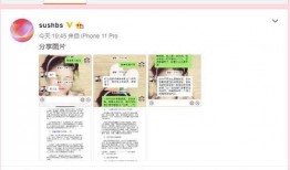 绿地女高管爆料视频大全,揭露企业内幕与职场真相”