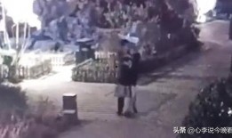 曹县吃瓜视频爆料,一场网络爆料的背后真相