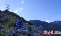 蚁岭 在线观看,探寻神秘昆虫世界的奇幻之旅