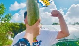 游泳网红吃瓜,幕后真相曝光