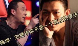 华仔爆料好声音视频,独家视频带你领略精彩瞬间