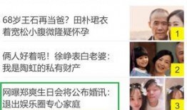 今年娱乐圈新消息爆料,2023年度明星秘闻大揭秘