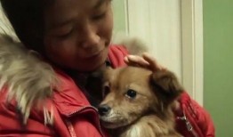 狗子黑料爆料视频大全集,视频大全集深度剖析