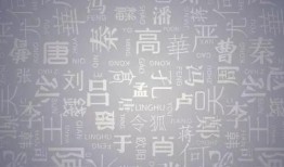 广西姓氏爆料最新消息是什么,最新家族传承揭秘，探寻广西姓氏源流与变迁