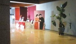 青岛博物馆爆料案件最新,案件背后真相逐步浮出水面