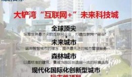 合浦最新爆料,揭秘神秘事件背后的真相
