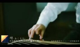 桥本麻耶在线观看,揭秘日本女神的迷人魅力