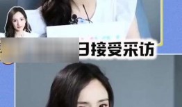 娱乐圈里的吃瓜手册,揭秘明星幕后故事与八卦风云