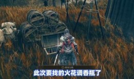 雷泽爆料视频素材下载,幕后真相大起底