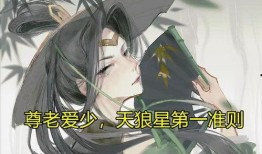 王者爆料婉儿是谁啊视频,婉儿身份揭秘，神秘角色引热议