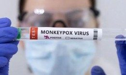 猴痘病毒爆料最新消息,全球疫情动态与防控策略解析