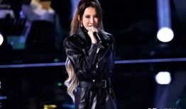 李玟录音爆料者视频在线观看,揭秘爆料者视频在线观看全过程