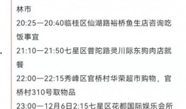 广西姓氏爆料最新消息是什么,最新家族传承揭秘，探寻广西姓氏源流与变迁