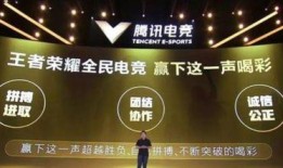 电竞系列皮肤爆料视频,揭秘系列皮肤背后的电竞魅力