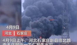 界首市媒体爆料事件视频,视频揭露惊人真相