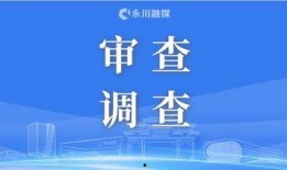保定今日头条农民爆料,田间地头新发现，揭示农业发展新趋势