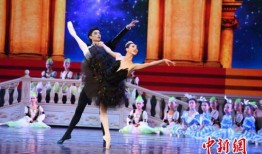 独舞天鹅爆料视频大全集,揭秘爆料视频背后的精彩故事