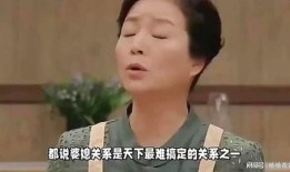 婆媳之争在线观看,家庭纷争背后的情感纠葛