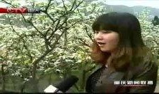 重庆晚间新闻爆料,揭秘神秘事件背后的真相