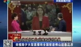 花街在线观看视频,穿越时空的花市奇遇记
