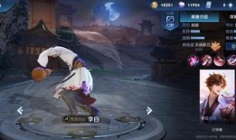 王者刺客爆料视频大全,揭秘英雄背后的秘密与技巧