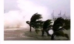 珠海金湾区爆料事件最新,揭秘背后真相与影响