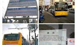 爆料青岛公交车视频,视频曝光引网友热议