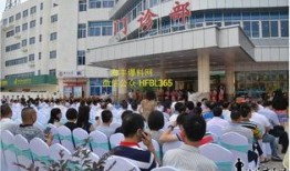 海丰爆料最新新闻,聚焦热点事件，揭秘背后真相