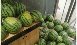 无锡最新吃瓜事件网红,网红风波再起，揭秘幕后真相