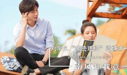 娱乐大爆料南风知我意,揭秘娱乐大爆料背后的故事