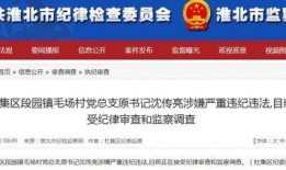网上新闻爆料,揭秘某事件背后真相