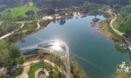 视频爆料湿地公园,生态奇迹与自然之美