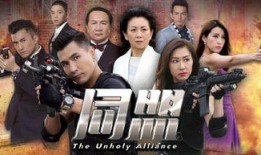 同盟28集在线观看,揭秘暗流涌动的阴谋与背叛