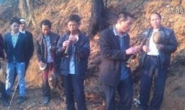 特区爱奴粤语在线观看,重温经典，感受粤语魅力