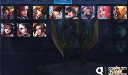 王者刺客爆料视频大全,揭秘英雄背后的秘密与技巧