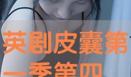 皮囊在线观看,揭开人生百态的在线观影之旅