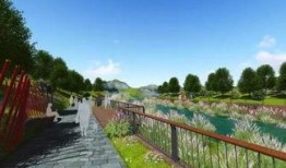 视频爆料湿地公园,生态奇迹与自然之美