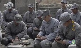 延安颂全集在线观看,重温革命岁月，传承红色精神