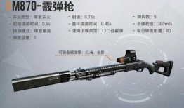 叶兰武器爆料视频,神秘特性与独特技能大揭秘
