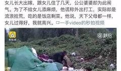 厦门翔安爆料事件视频最新,视频揭露惊人真相，引发社会关注