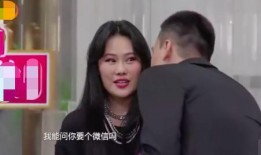 某男艺人爆料视频大全集,娱乐圈幕后真相大曝光