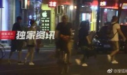 狗仔爆料王丽坤视频,王丽坤私密视频曝光，真相背后引热议