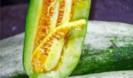 宝坻吃瓜网红是谁,网络红人的崛起与影响力