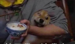 娱乐圈吃瓜科普,那些你不知道的幕后故事与真相