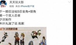 下一个忍法帖最新爆料,最新爆料揭示神秘忍术与传奇忍者