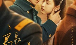 飞鸟侠在线观看,在线观看，翱翔于虚拟世界的英雄传奇